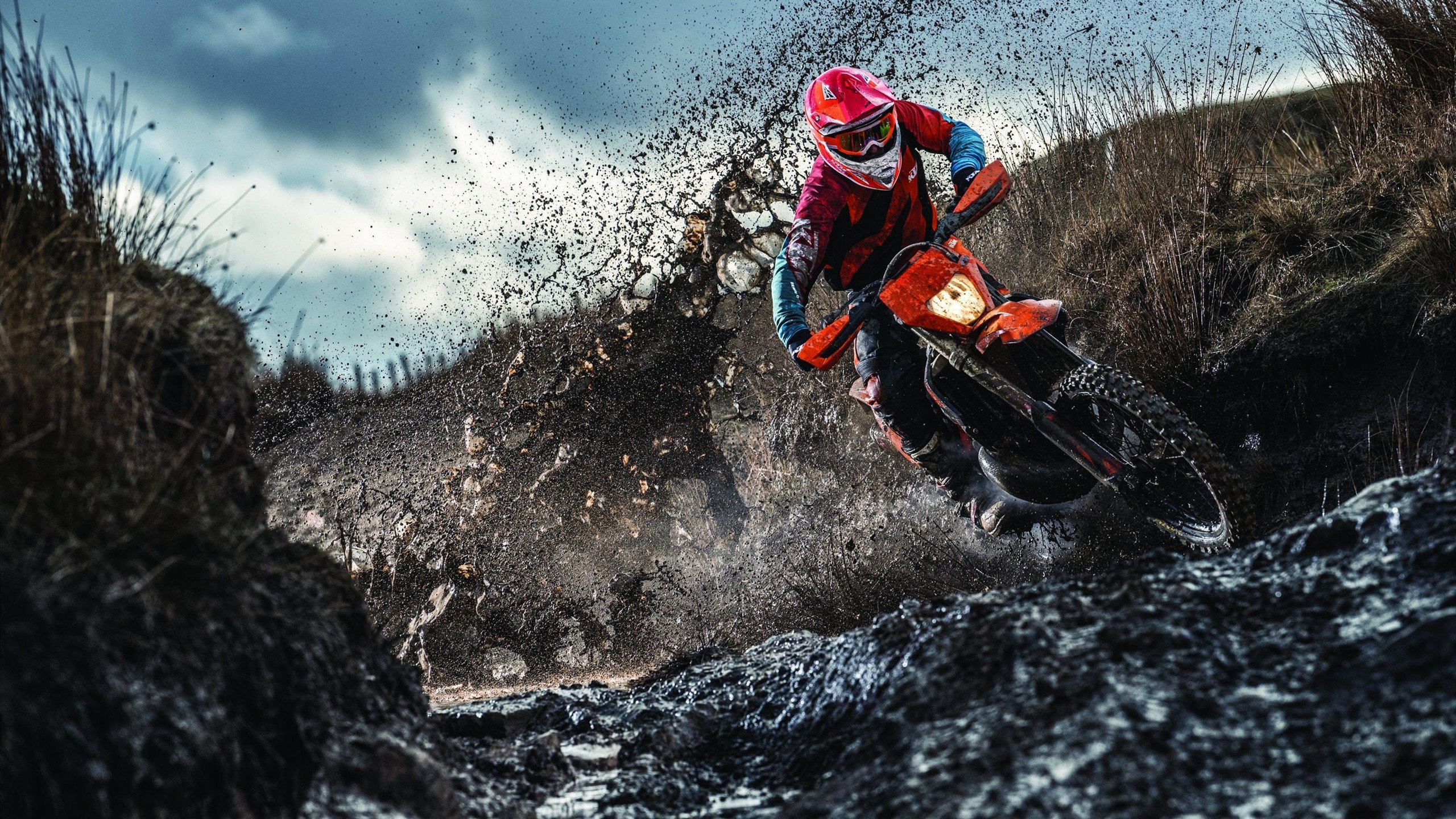 2024年德国队的混合团体世界杯之路:坚定的步伐,德国队备战世界杯