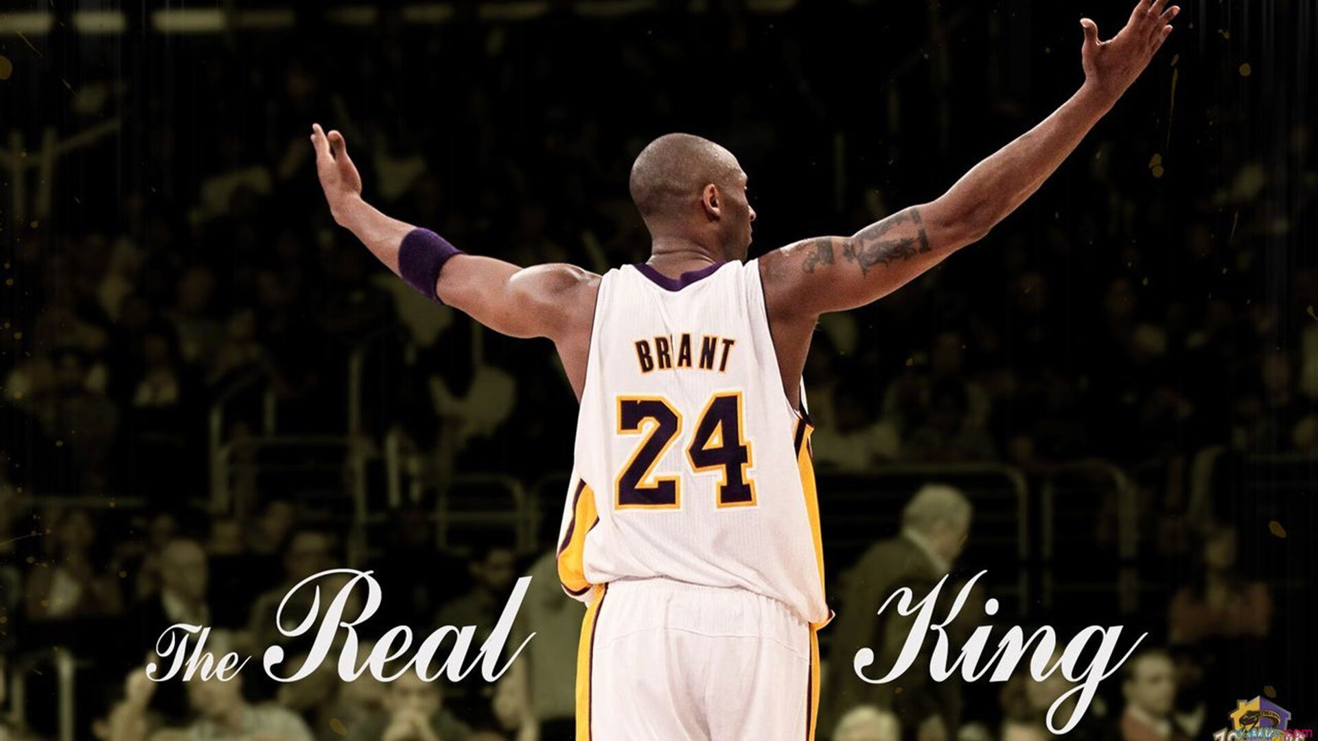 开云在线入口-“霍斯特带领南非羚羊队突破重围，助力胜利”